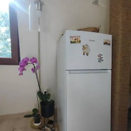 דירה Dream Loft In The Center Of וארנה